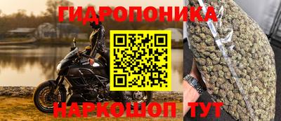 прущие грибы Канаш