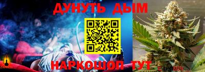 прущие грибы Канаш