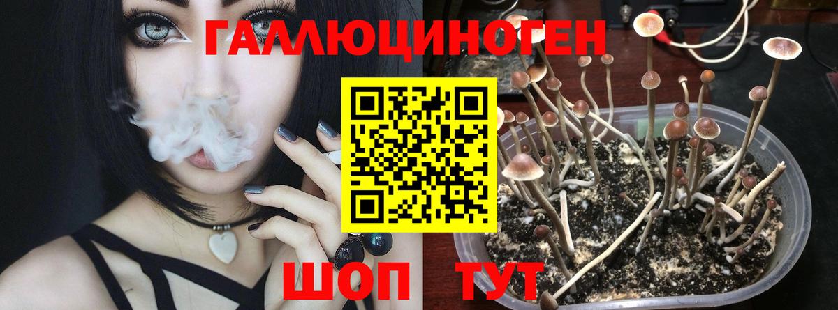 Псилоцибиновые грибы Psilocybine cubensis  Вход с VPN  Пенза 