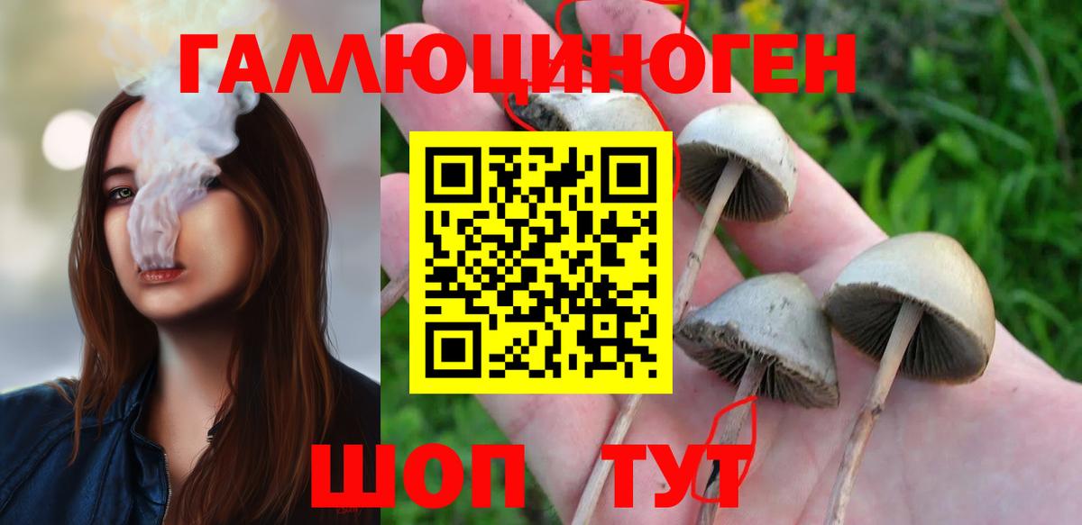 Псилоцибиновые грибы мицелий Пенза